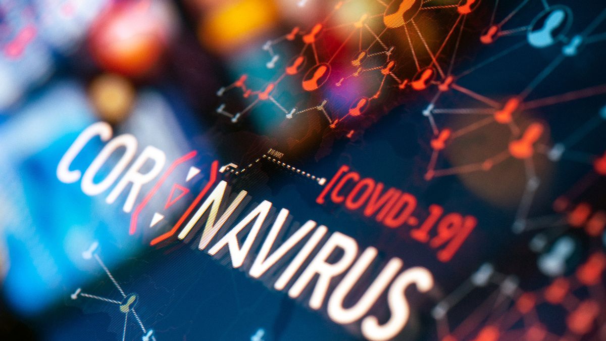 Resilience and Challenges: The Australian Housing Market During the COVID-19 Pandemic